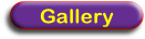 Gallery.